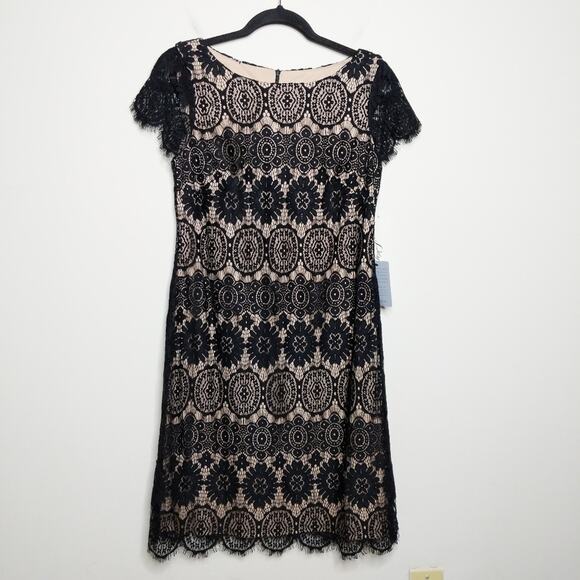 Eliza J Scalloped Lace Dress - Size 6 - NWT - Picture 1 of 13